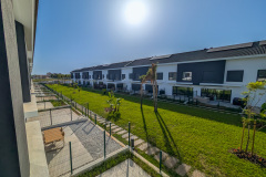 PXL_20250624_070748522-2