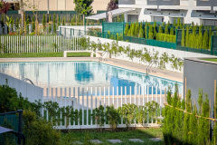 PXL_20250624_072125098-4