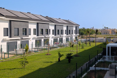 PXL_20250624_072208554-2