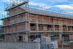 PXL_20251202_074551060-2