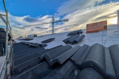 PXL_20251202_082656523-2